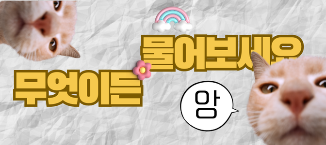 무엇이든 물어보세요 - AI 채팅