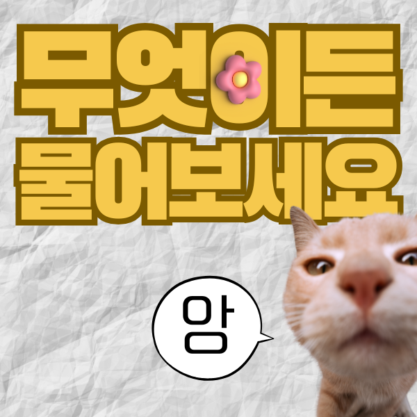 더 궁금한 점이 있다면?