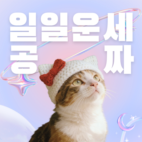 오늘의 무료운세